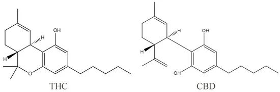 分子式.jpg